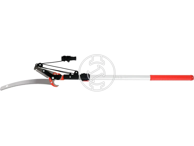 Kép: 105010385.webp