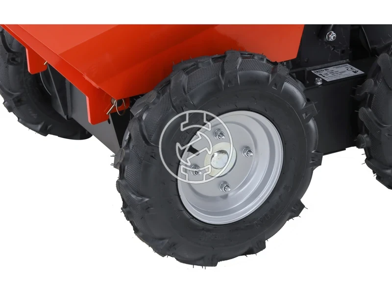 Kép: 110000059_12.webp