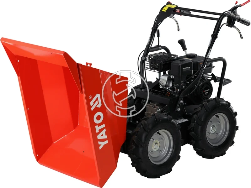 Kép: 110000059_6.webp