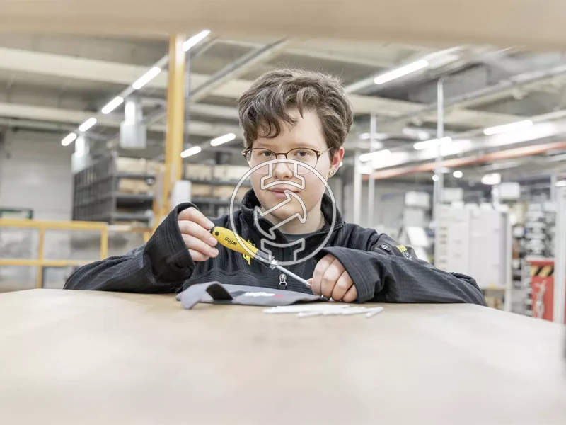 Wiha SYSTEM 4 csavarhúzó készlet ESD