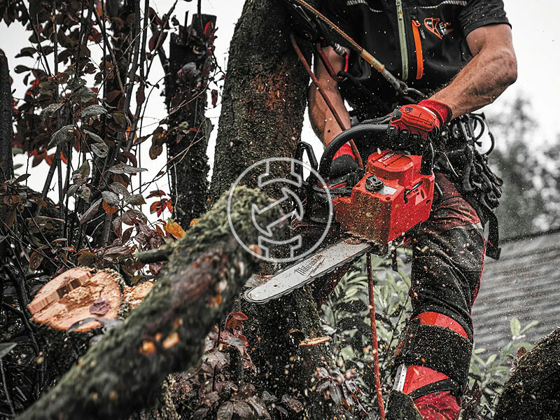 M18FTHCHS30-802 FELSĹ FOGANTYĂšS LĂNCFŰRÉSZ 30CM