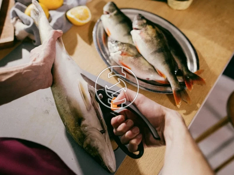 Fiskars kézi olló halak pikkelyezésére