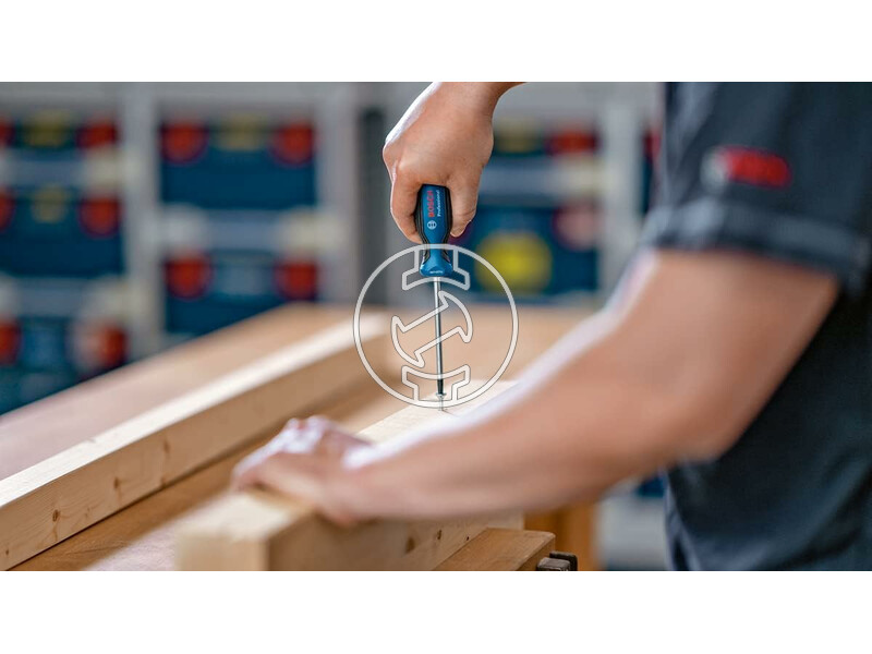 Bosch TX25X100 csavarhúzó