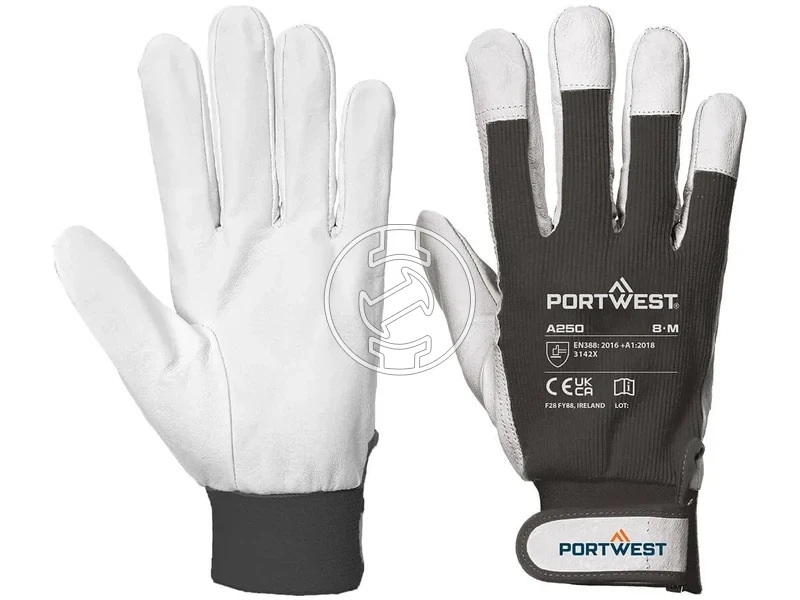 Kép: A250 - Tergsus vedokesztyu.webp