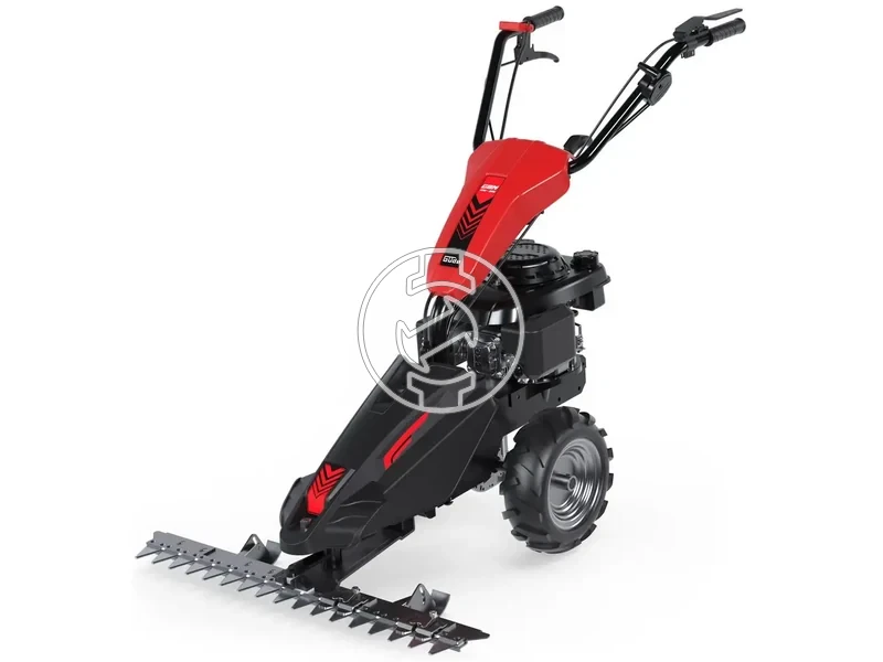 Kép: Benzines magasgazvago GBM 870-200.webp