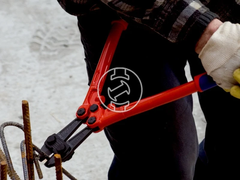 Kép: Bolt Cutters.webp
