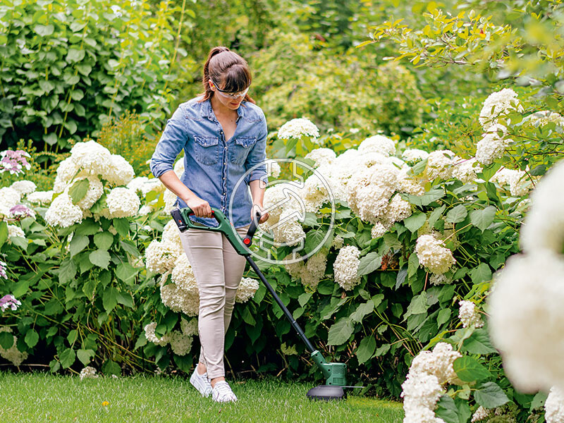Bosch EasyGrassCut 18V-260 akkus fűszegélynyíró