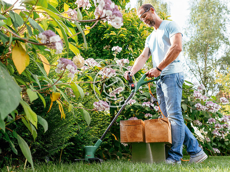 Bosch EasyGrassCut 18V-260 akkus fűszegélynyíró