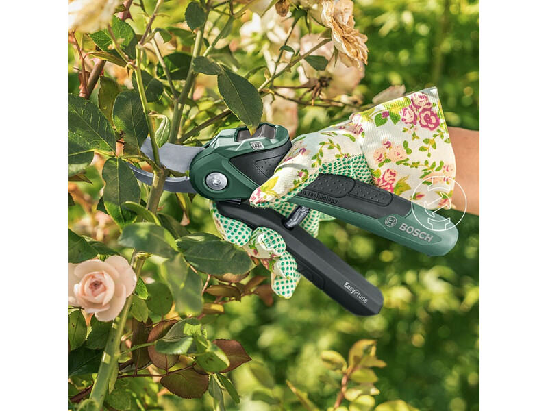 Bosch EasyPrune