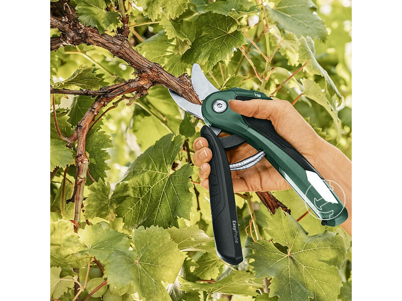 Bosch EasyPrune