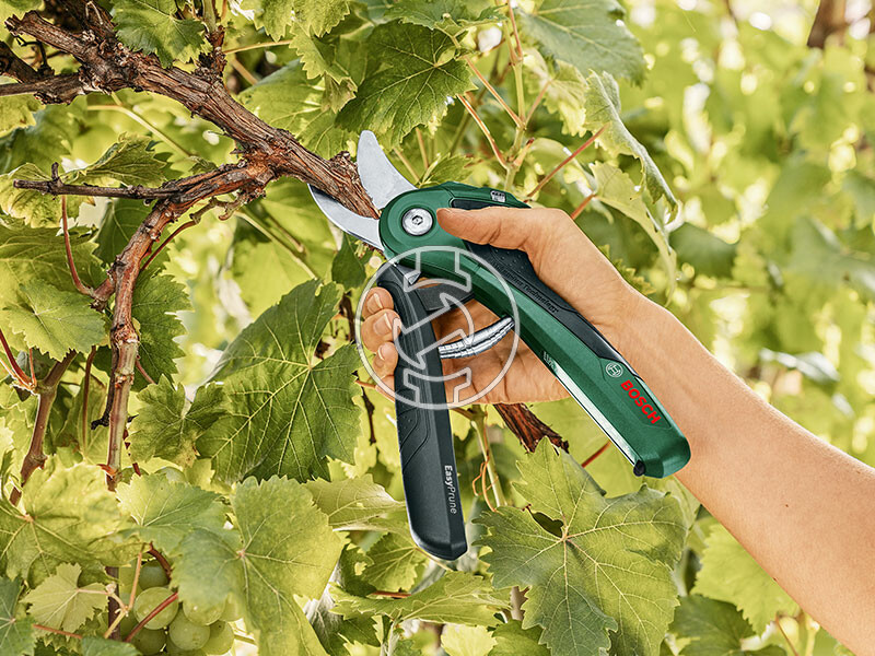Bosch EasyPrune metszőolló
