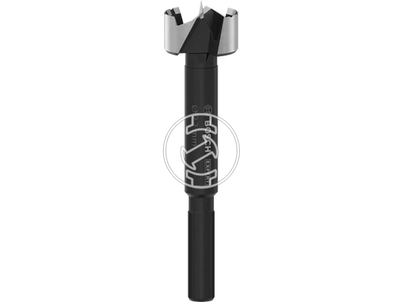 Kép: Bosch EXPERT Wood forstner furoszar 22mm_0.webp