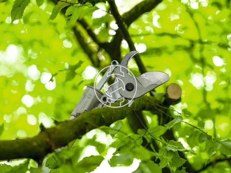 Kép: Bosch GGP18V-45EP vagasi kapacitas 45 mm_1.webp