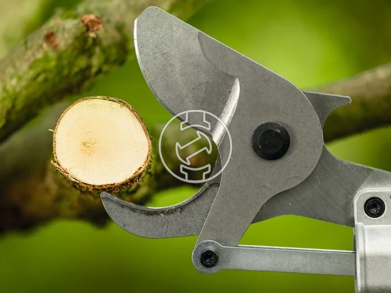 Kép: Bosch GGP18V-45EP vagasi kapacitas 45 mm_3.webp