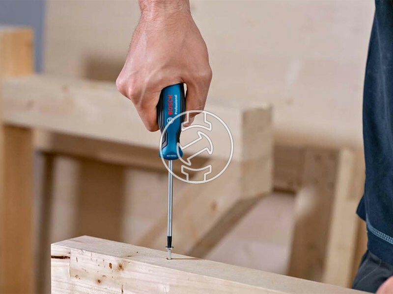 Bosch TX25X100 csavarhúzó