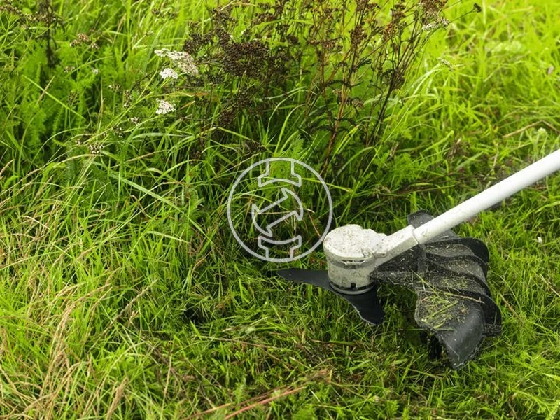 Kép: Bozotvago kes 25cm 3T.webp