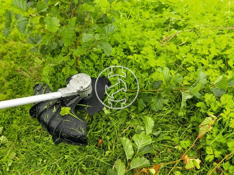 Kép: Bozotvago kes 25cm 4T.webp