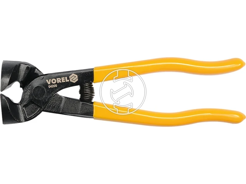 Kép: Csempeharapo fogo egyenes pofaju.webp