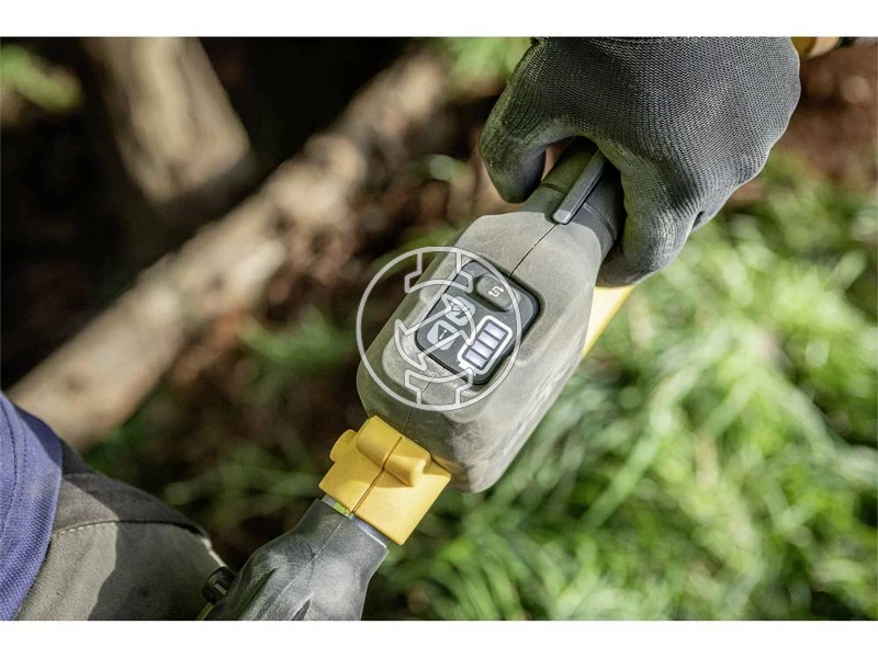 DeWalt DCMPS635 akkus magassági ágvágó 54V