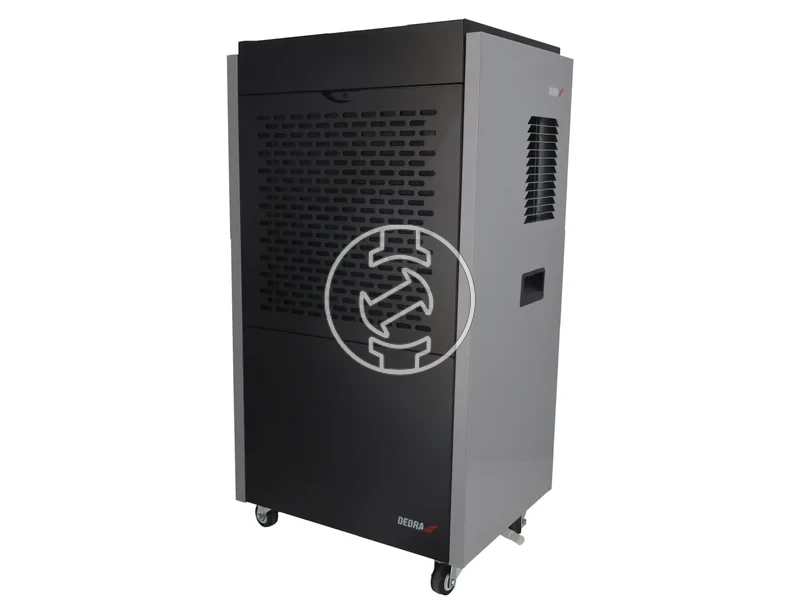 Kép: Dedra 1000 W_0.webp