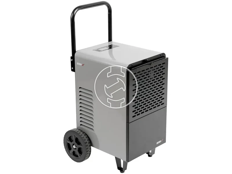 Kép: Dedra 750 W_1.webp