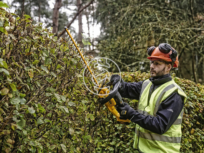 DeWalt DCMHT563P1-QW akkus sövényvágó