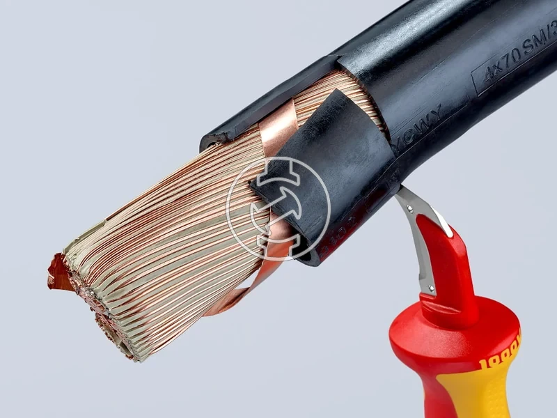 Kép: DISMANTLING KNIVES.webp