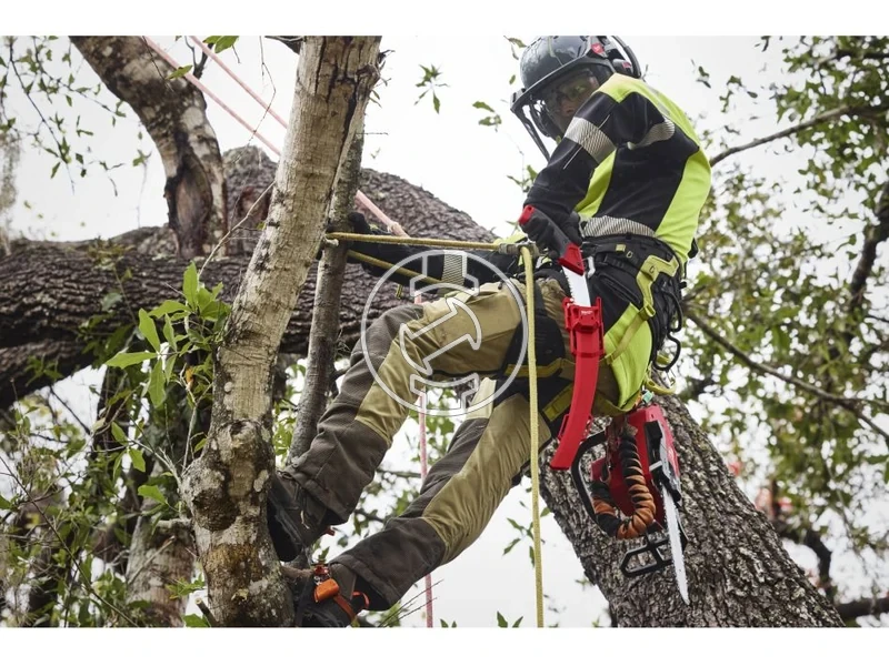 Kép: Fix gallyazo furesz.webp