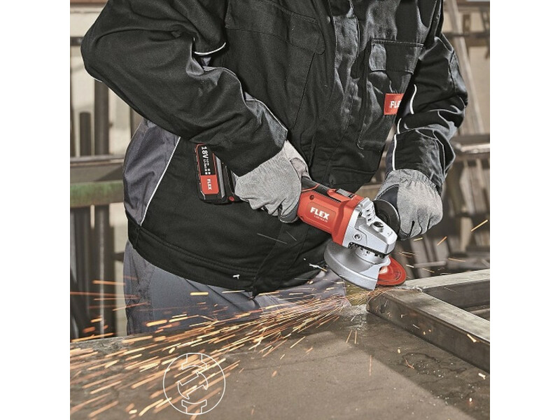 Flex L 125 18.0+CHE 18.0+DD 2G 18.0+WL Led 18.0