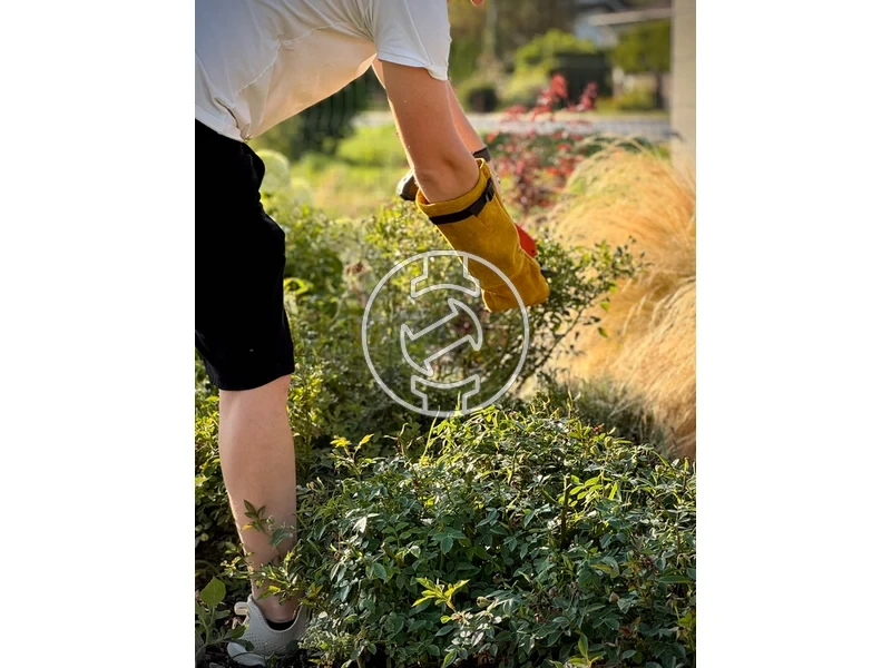 Kép: Flo vedokesztyu L10 tovisallo.webp