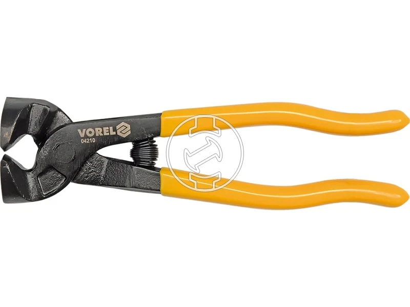 Kép: Hajlitott pofaju csempeharapo fogo.webp