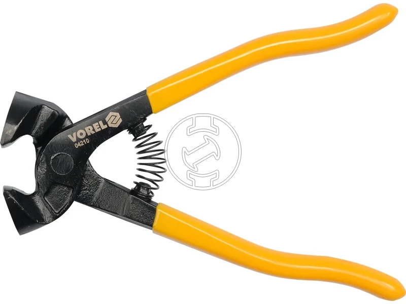 Kép: Hajlitott pofaju csempeharapo fogo.webp