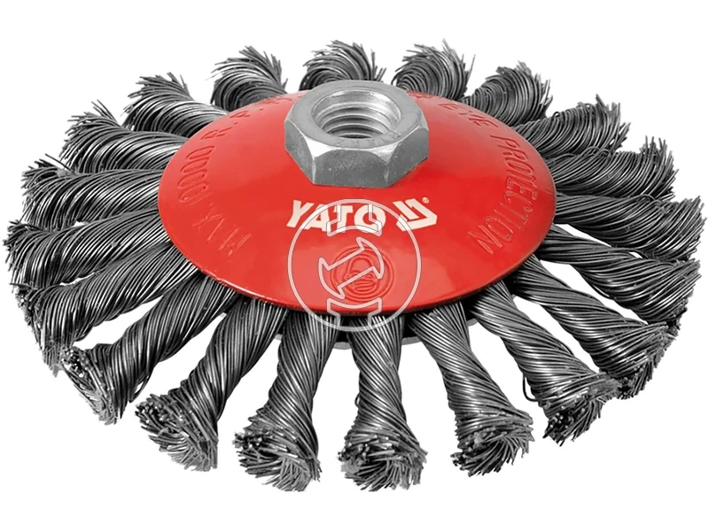 Kép: Korongkefe.webp