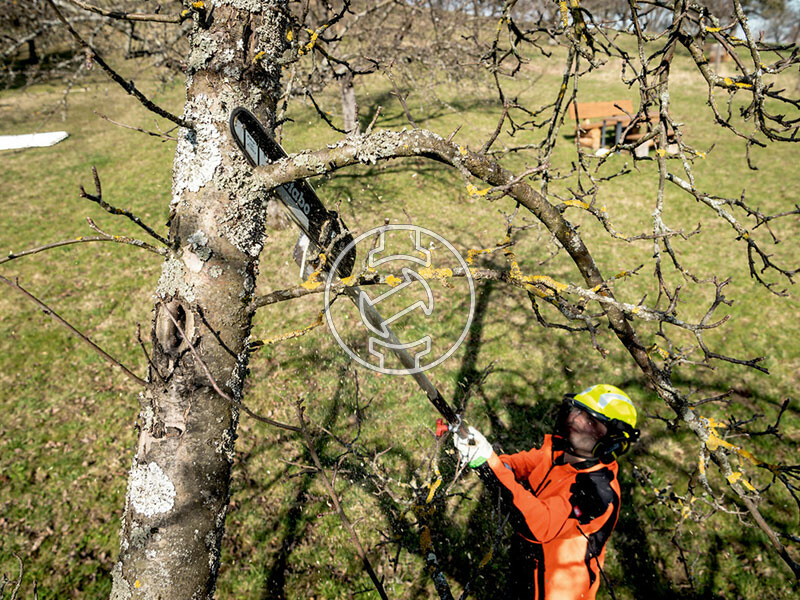 MA-MS 25 (magassági ágvágó)