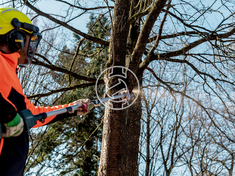 MA-MS 25 (magassági ágvágó)