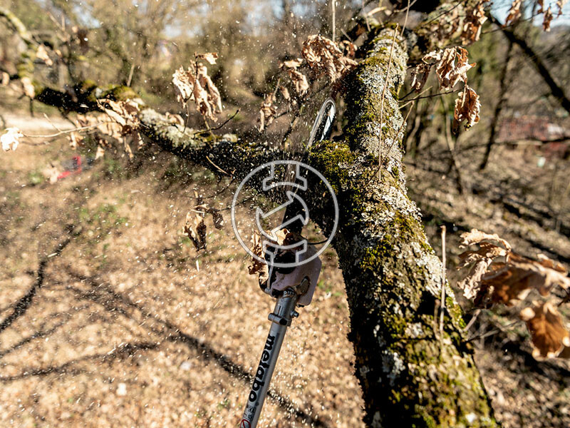 MA-MS 25 (magassági ágvágó)