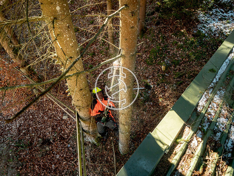 MA-MS 25 (magassági ágvágó)