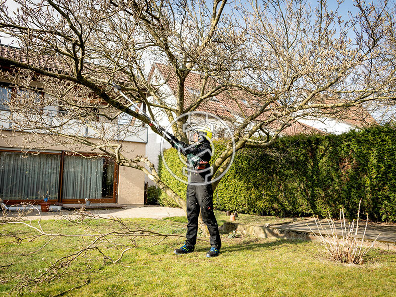 MA-MS 25 (magassági ágvágó)