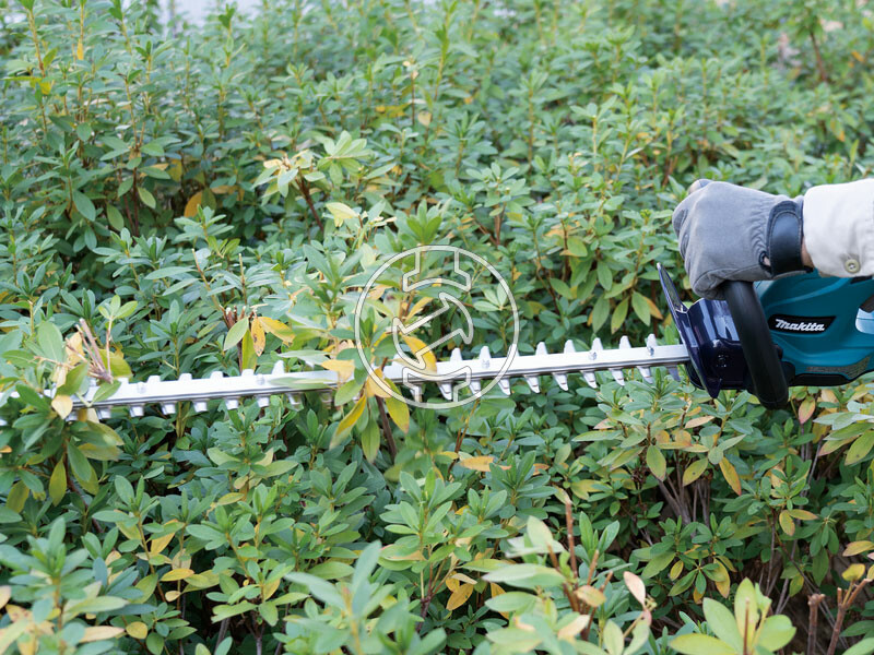 Makita DUH507Z akkus sövényvágó 250 W