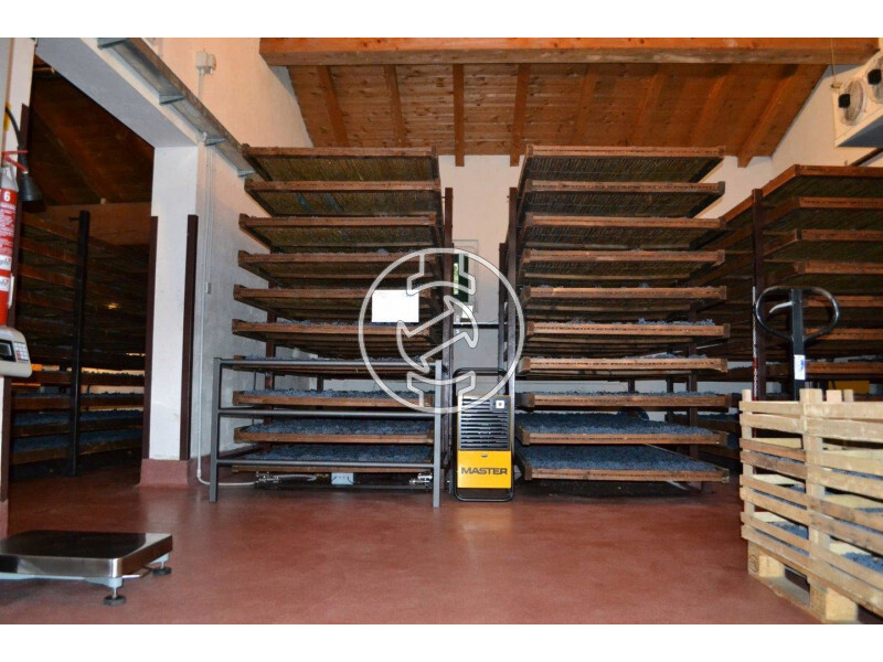 Master DH26 párátlanító