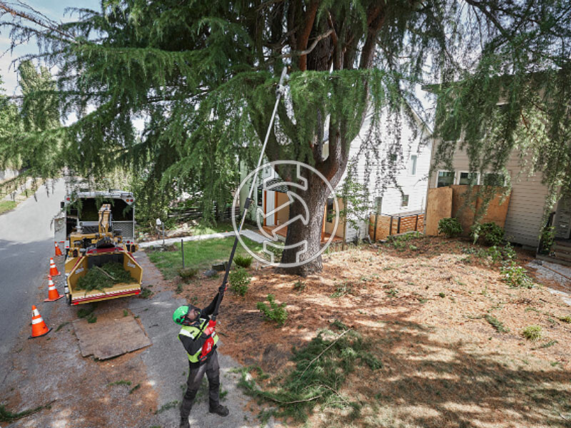 Milwaukee M18FTPS30-121 akkus magassági ágvágó 30 cm