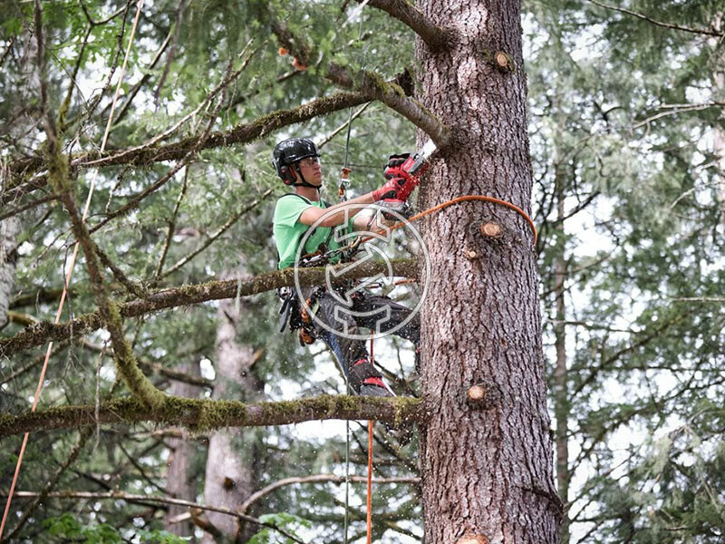 Milwaukee M18FHS20-0 akkus láncfűrész (akku és töltő nélkül)
