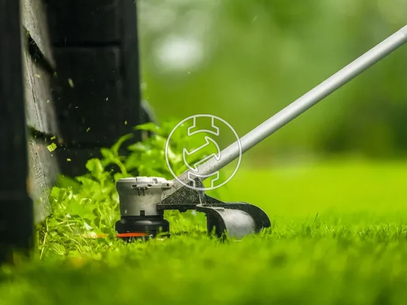 Kép: Pot damil orso.webp