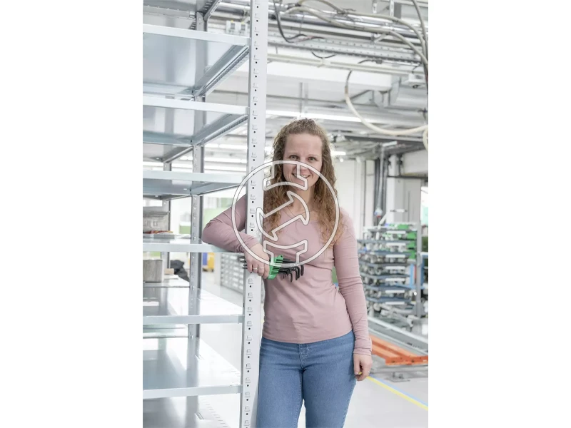 Wiha ProStar imbuszkulcs készlet SB 366SZ13