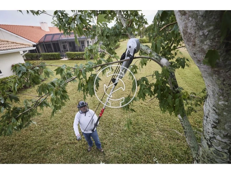Kép: Teleszkopos agvagometszoollo.webp