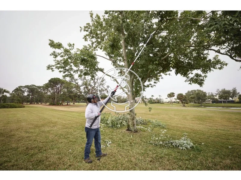 Kép: Teleszkopos agvagometszoollo.webp