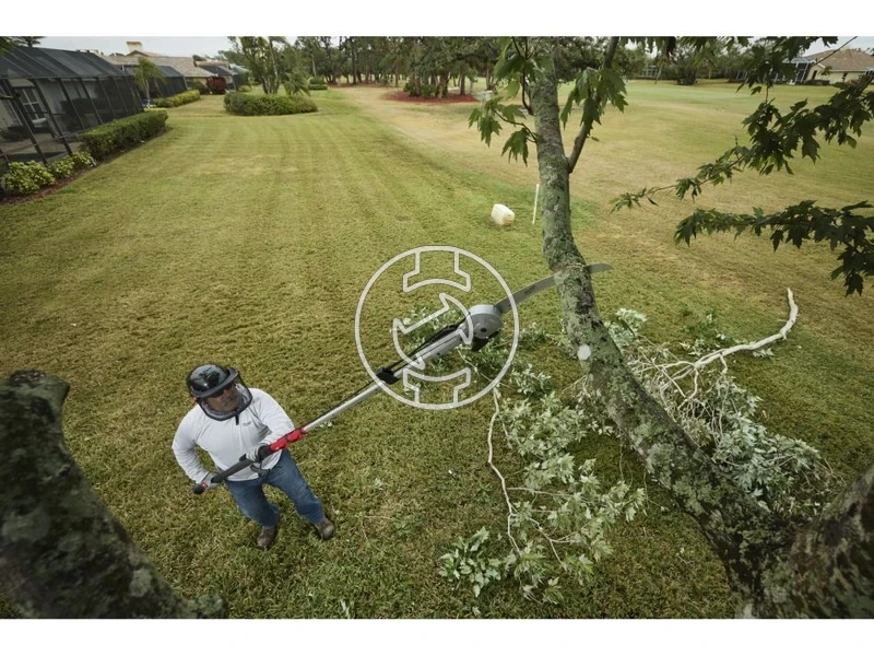 Kép: Teleszkopos agvagometszoollo.webp