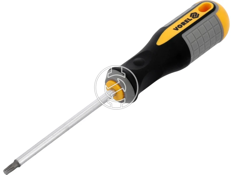 Kép: TORX csavarhuzo T25 x 100 mm.webp