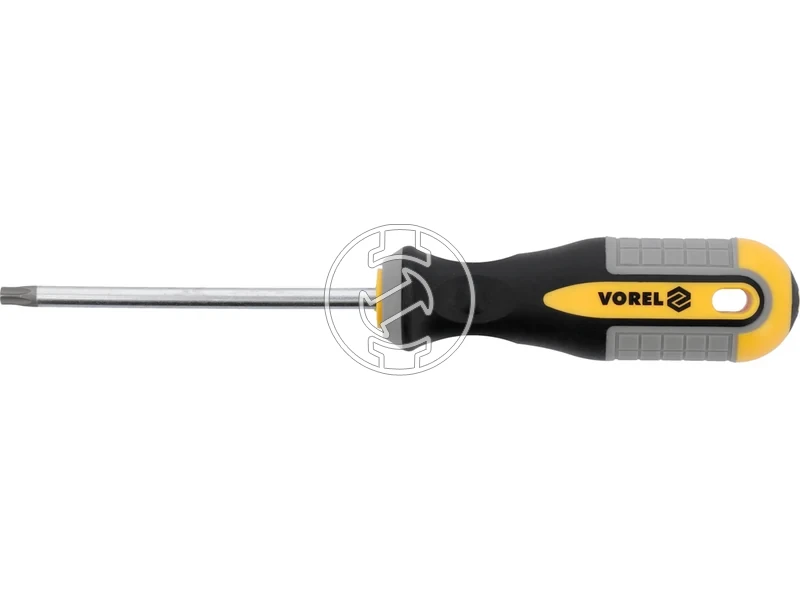 Kép: Torx csavarhuzo T30 100 mm szarhossz.webp