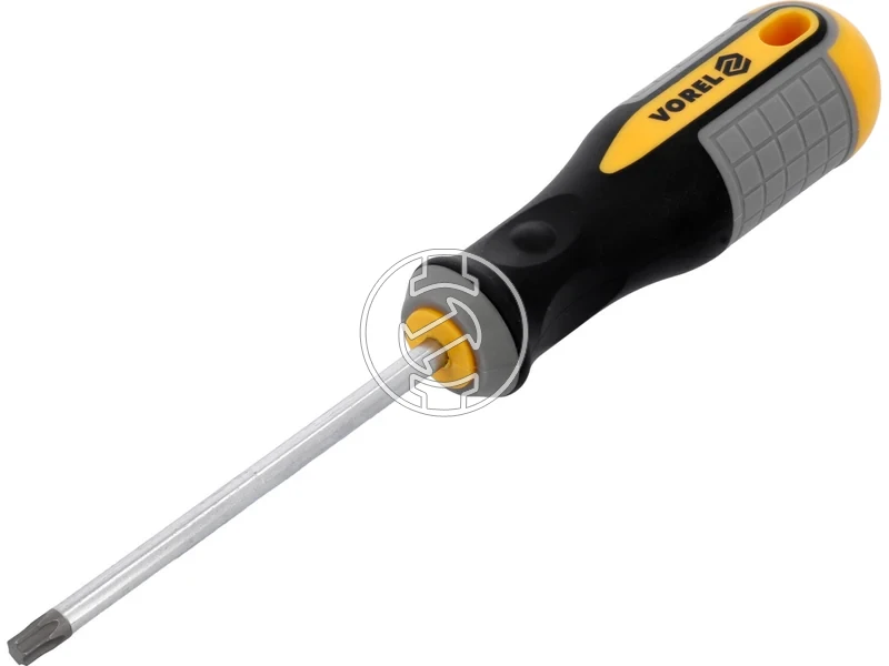 Kép: Torx csavarhuzo T30 100 mm szarhossz.webp